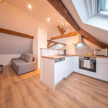 Super Near Basel 8 4 Personnes Apartamento